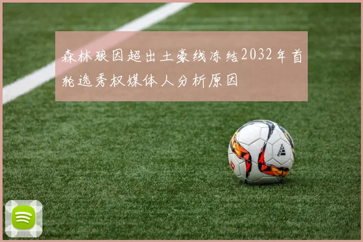 森林狼因超出土豪线冻结2032年首轮选秀权媒体人分析原因