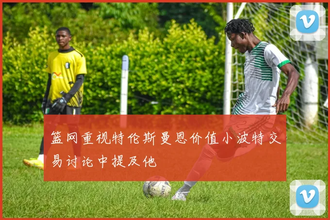 篮网重视特伦斯曼恩价值小波特交易讨论中提及他